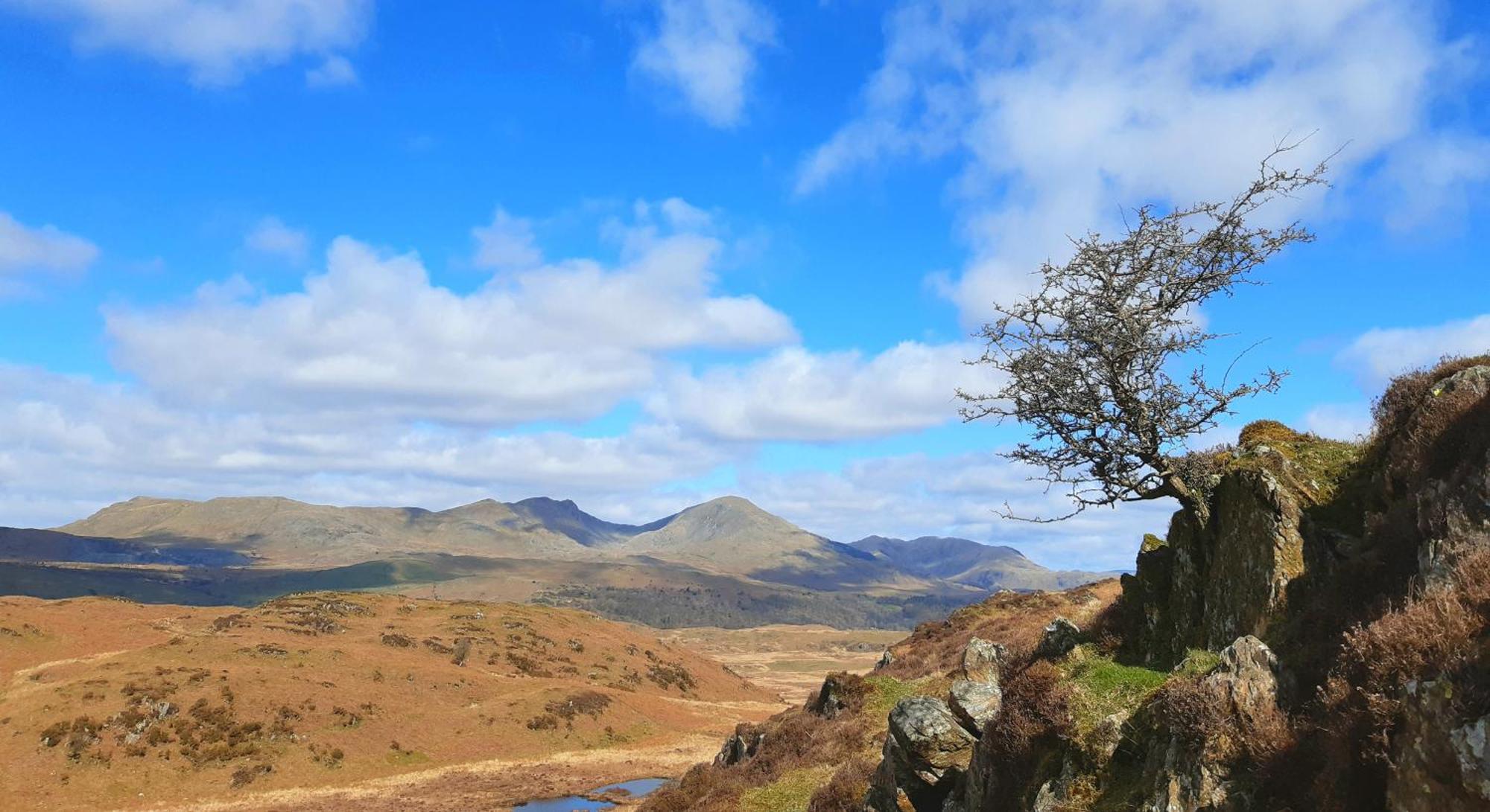 Ling Fell Cottage Ulverston Kültér fotó